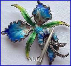 Enamel Brooches Antique Vintage Butterfly Iris Sterling Silver Deco Caviness